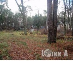 Продают землю под коммерческую застройку, Юрмала, Меллужи, Skolotāju iela 15 (ID:&nbsp;237)
