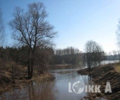 Pārdod komercapbūves zemi, Rīgas rajons, Ādažu nov., DaugavAS (ID:&nbsp;581)