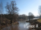 Продают землю под коммерческую застройку Рижский район, Адажский округ, DaugavAS, ID:581